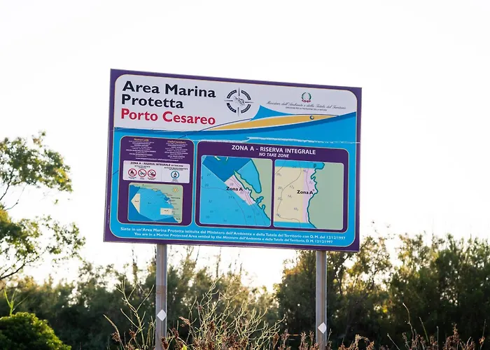 Hotel adatto agli animali: Granelli di sabbia